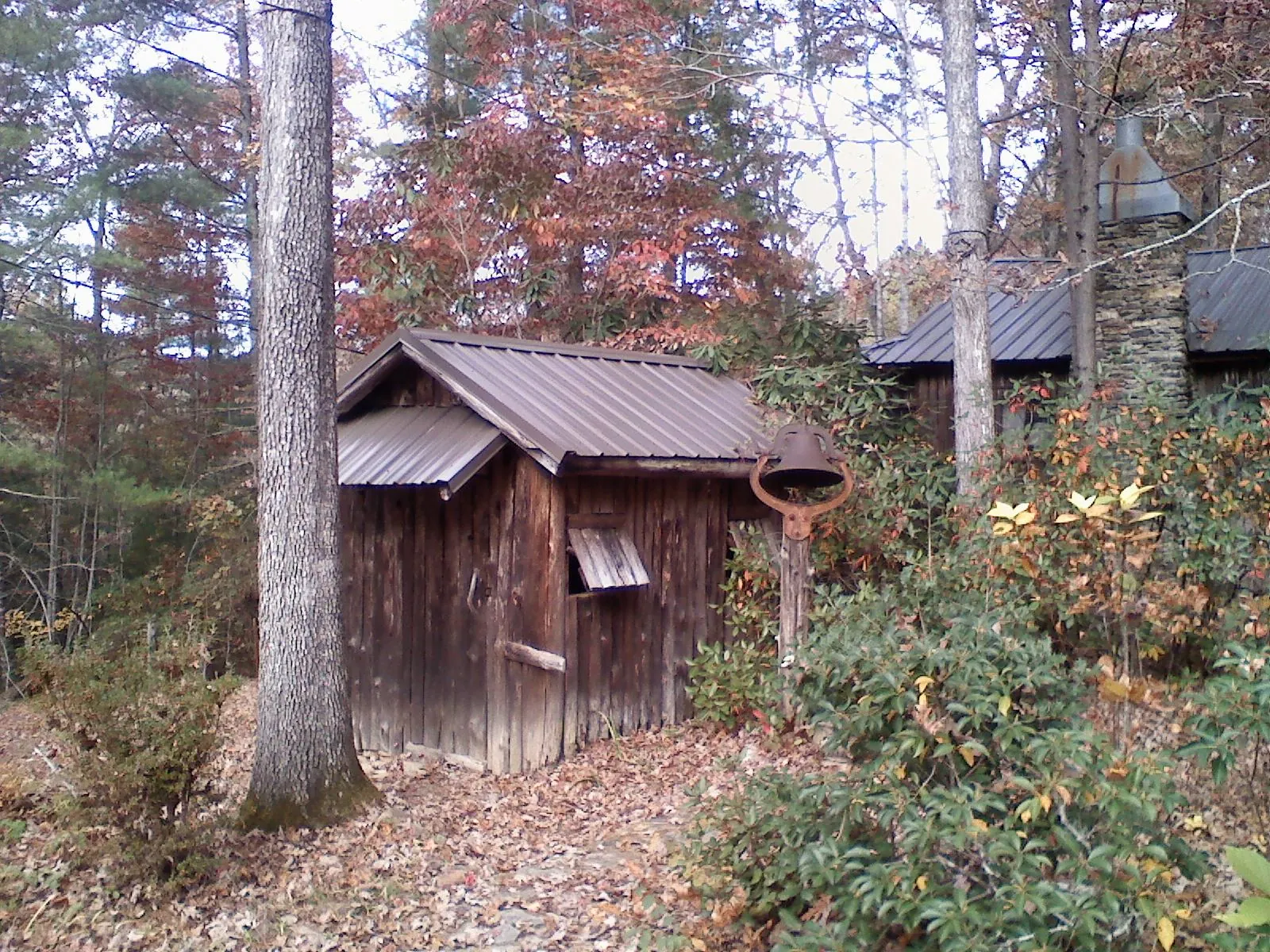 Small metal roof on a rough sawn shed in the woods in Henrico